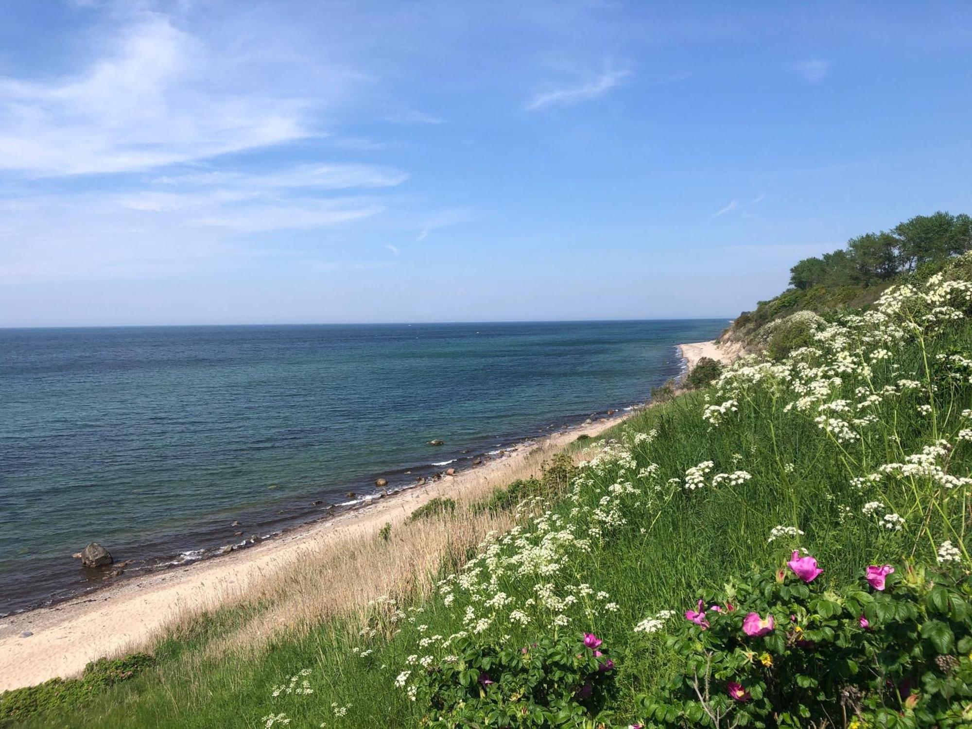 Ferienwohnung-Meeresblick-Rerik Esterno foto